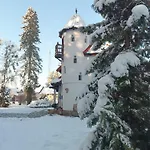 Wiking *