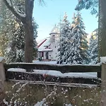 Wiking *