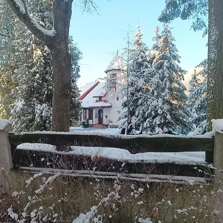 Wiking *